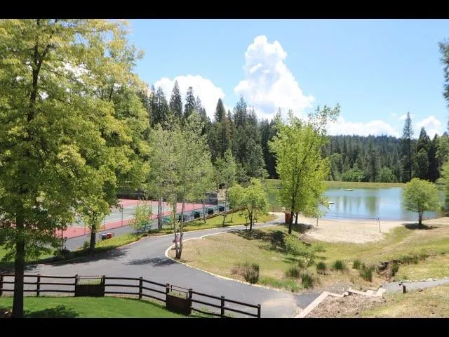 a view of a city with lush green forest