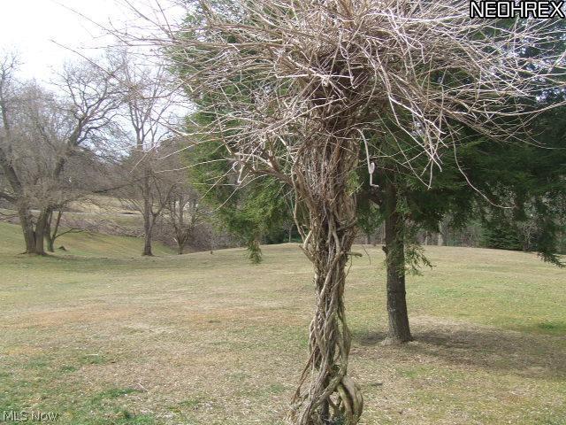 3911 Sandy Ridge Road Southeast Tippecanoe, OH 44699 - Photo 7 of 13 Gallery Image 7