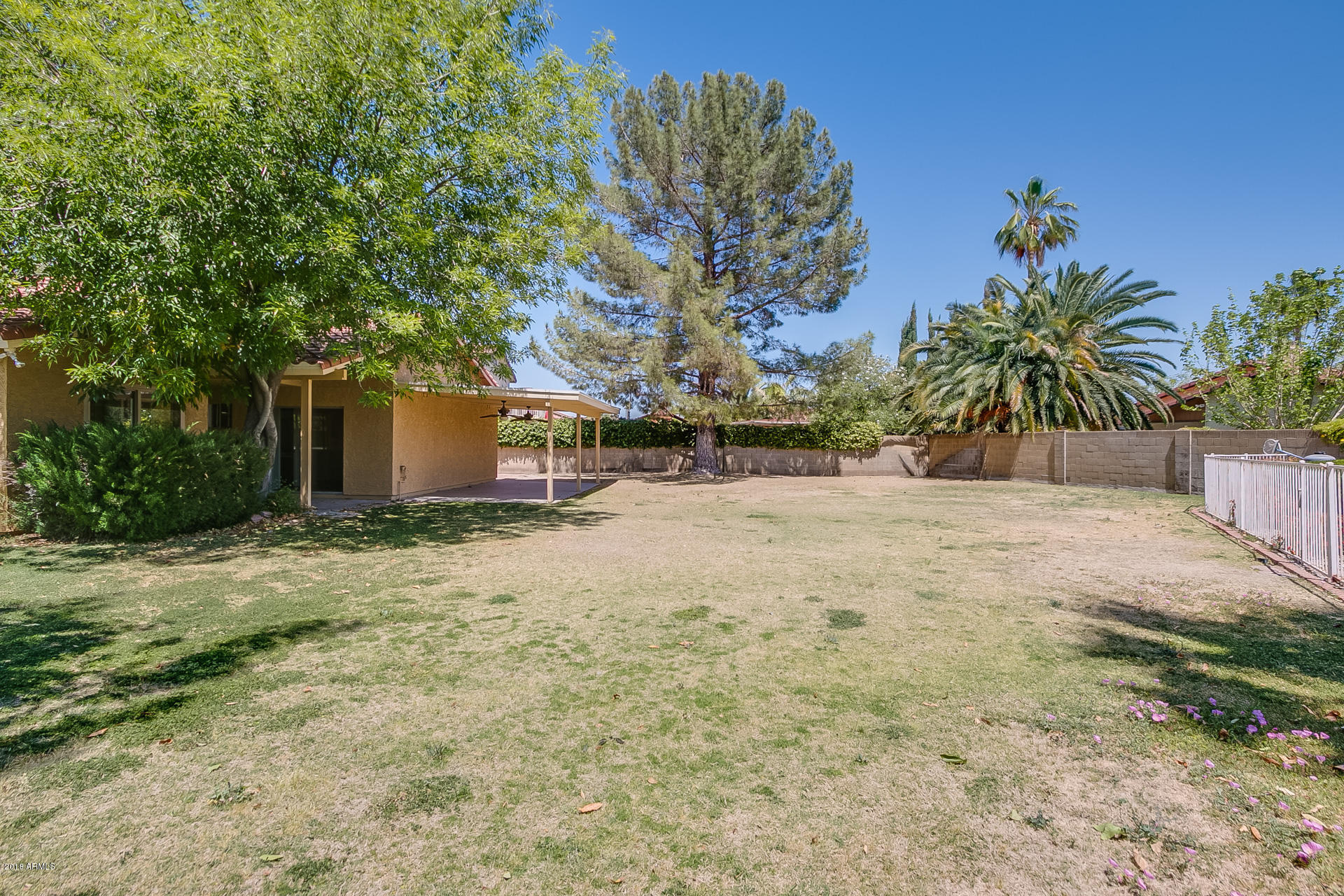 1925 East Redfield Road Phoenix, AZ 85022 - Photo 5 of 28 photo_05