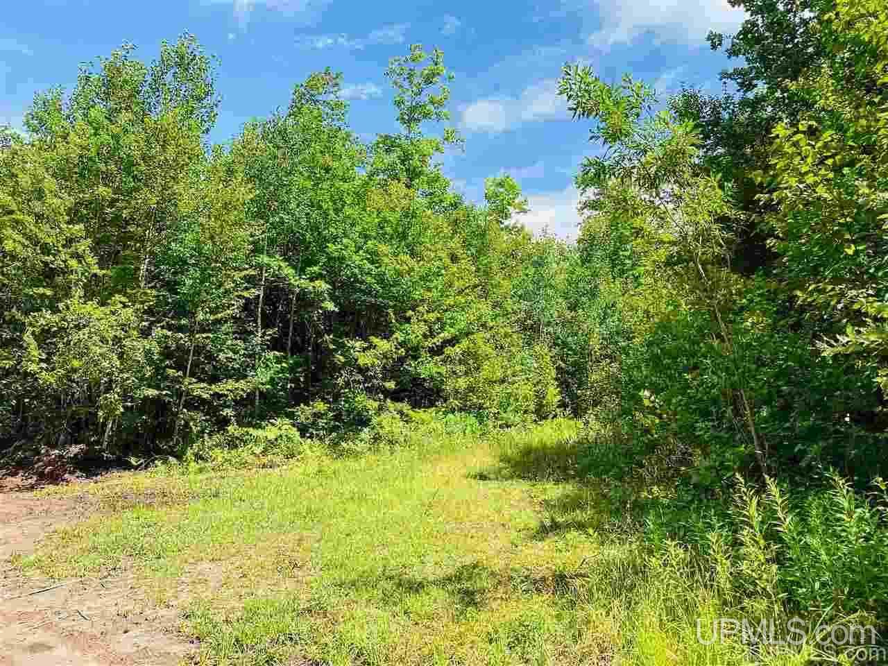 Tbd Oak Ridge Road Lake Linden, MI 49945 - Photo 2 of 10