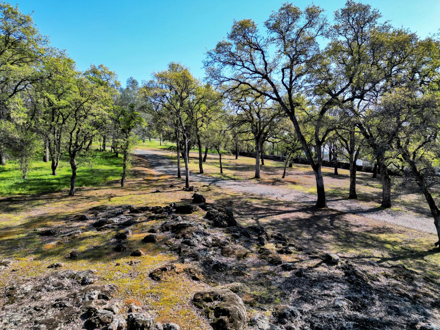 19890 Perimeter Road Grass Valley, CA 95949 - Photo 78 of 95