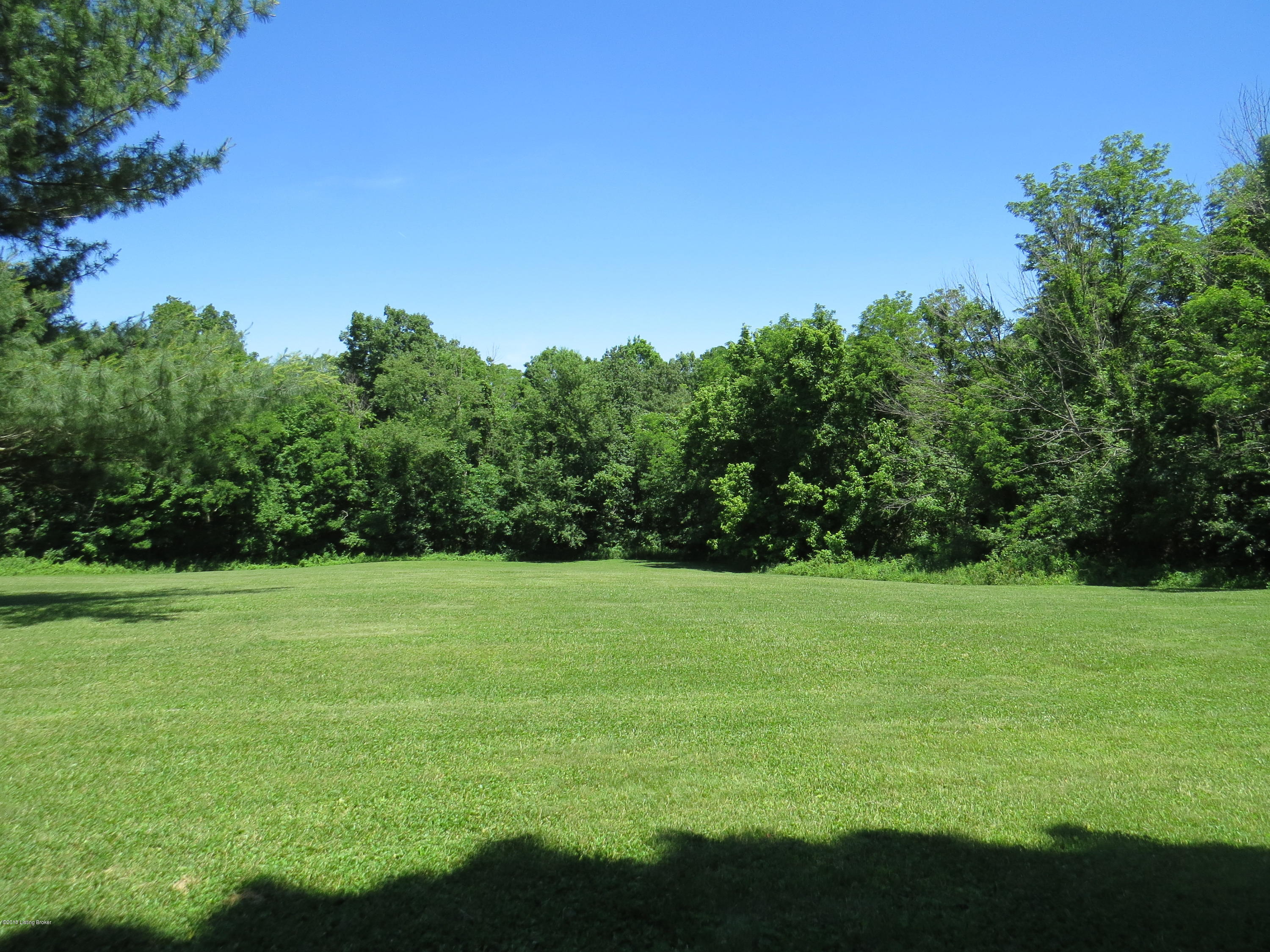 766 Bray Ridge Road Bedford, KY 40006 - Photo 49 of 58 Back Yard View 2