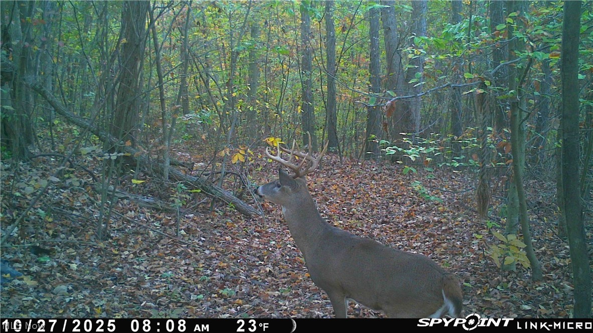 37500 Goose Run Road Dexter City, OH 45727 - Photo 50 of 50