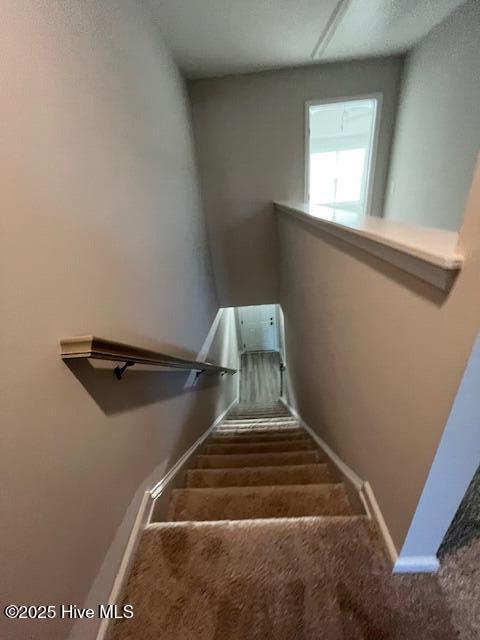 8288 Paramount Point Winnabow, NC 28479 - Photo 14 of 32 p8288.15