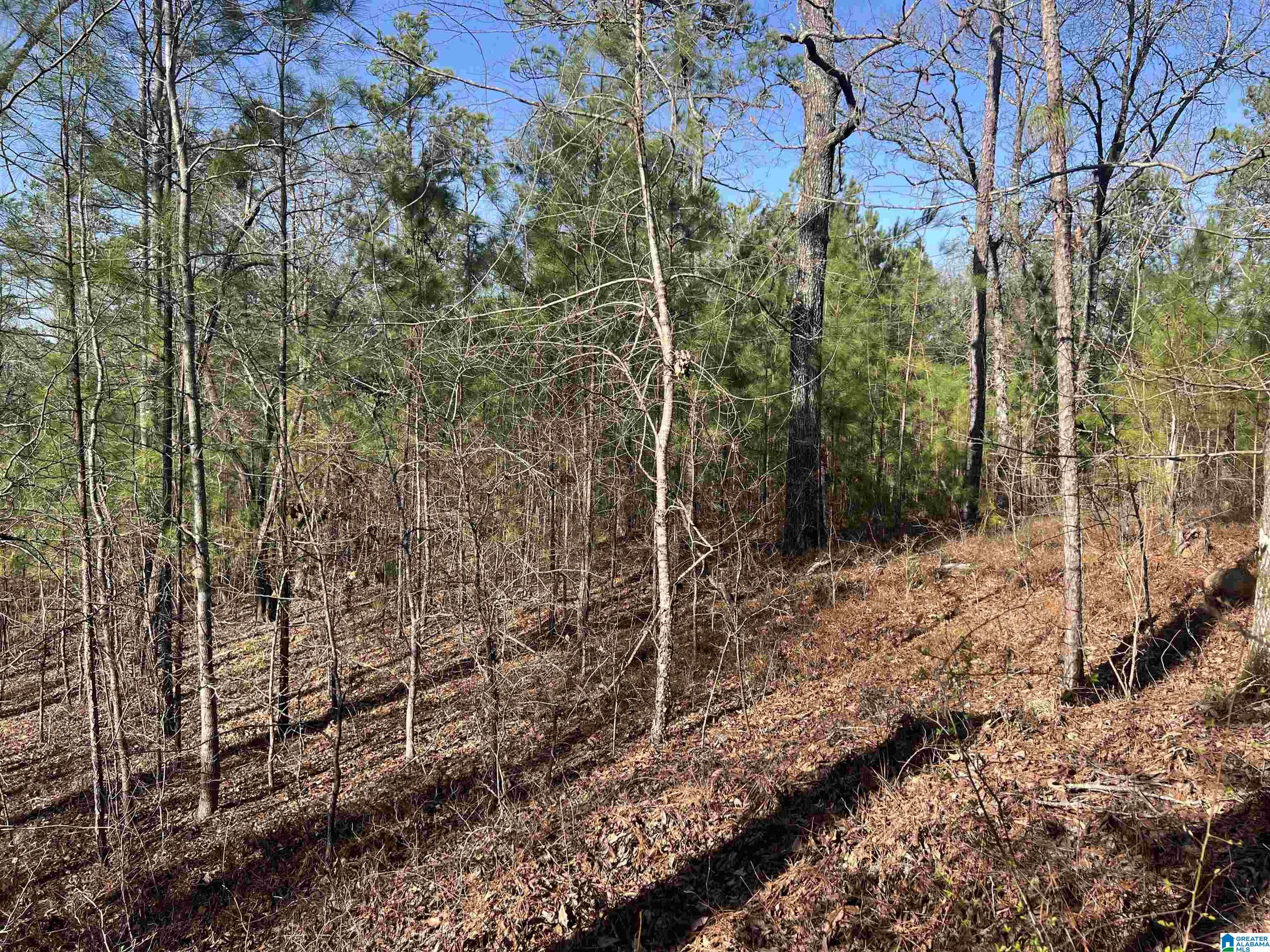 Shoreside Lane, Unit 210 Sylacauga, AL 35151 - Photo 6 of 9