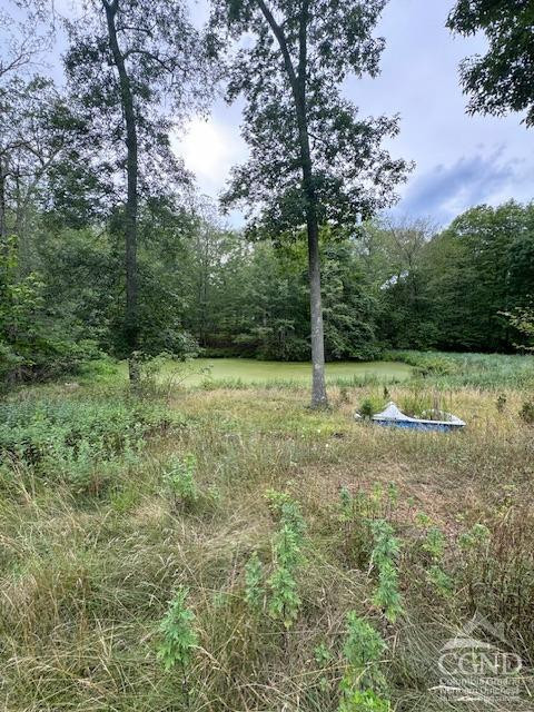 114 La Corte Road Catskill, NY 12414 - Photo 28 of 29 a view of a field with trees in the background