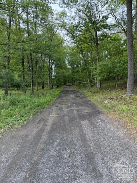 114 La Corte Road Catskill, NY 12414 - Photo 29 of 29 a view of a dirt road with trees in the background