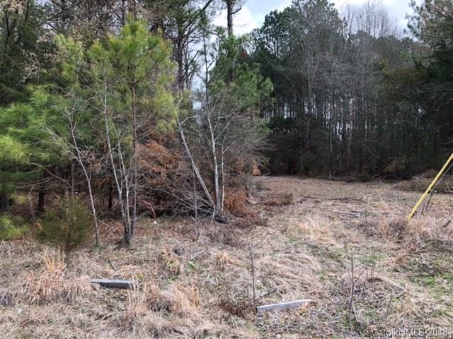 0 Potter Road South Lancaster, SC 29720 - Photo 2 of 7