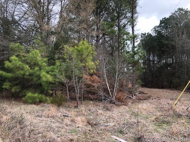 0 Potter Road South Lancaster, SC 29720 - Photo 3 of 7