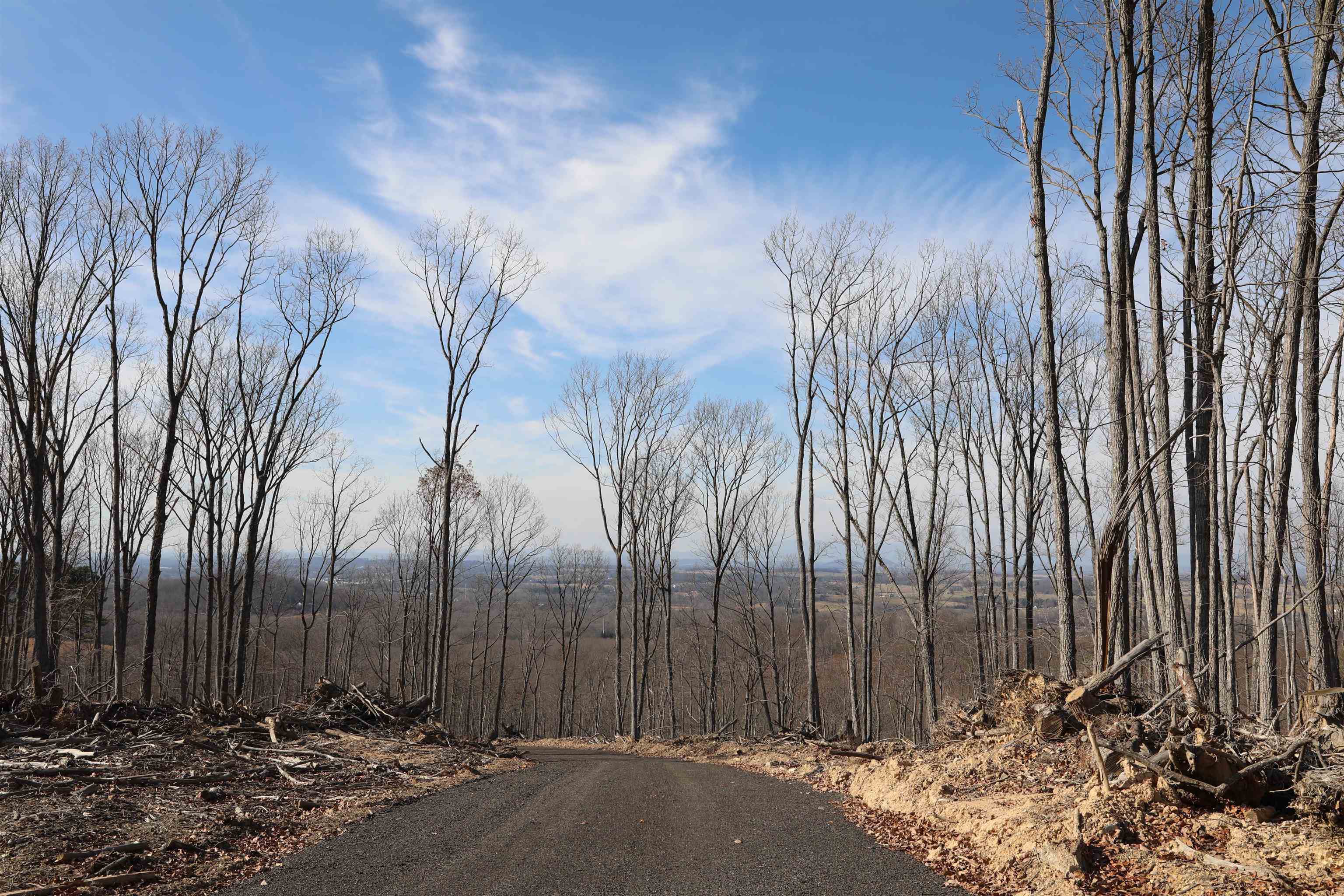 Tbd1 Calf Mountain Road Waynesboro, VA 22980 - Photo 13 of 39 a view of a backyard of a house