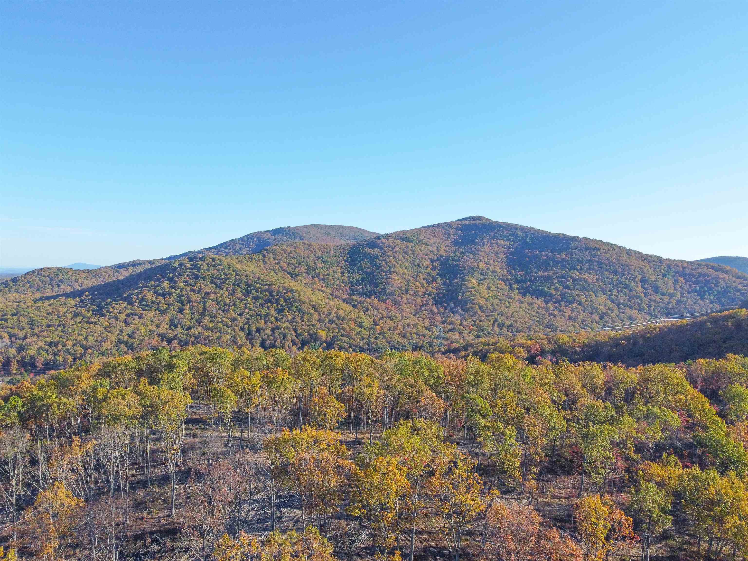 Tbd1 Calf Mountain Road Waynesboro, VA 22980 - Photo 14 of 39 a view of mountain and tree