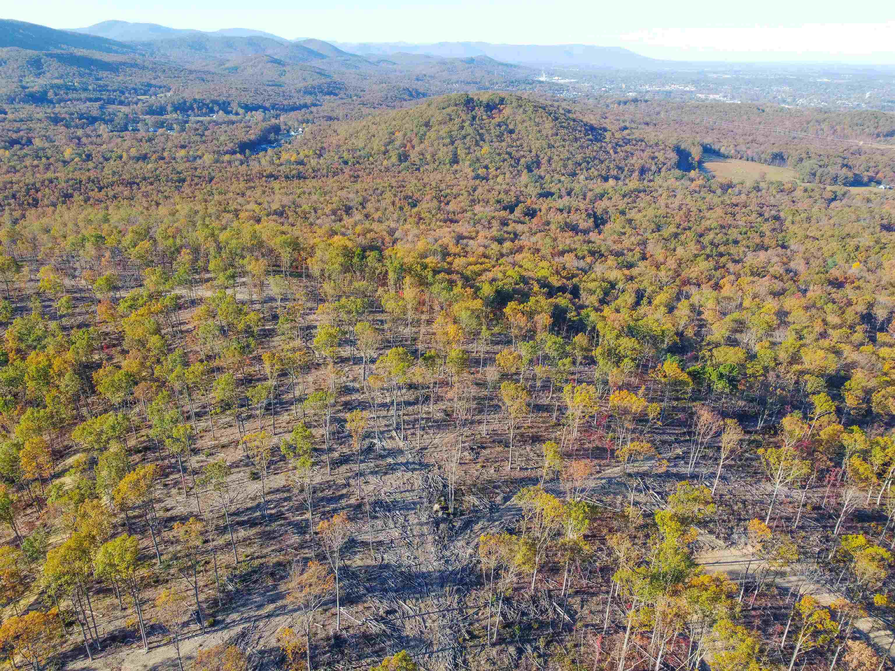 Tbd1 Calf Mountain Road Waynesboro, VA 22980 - Photo 17 of 39