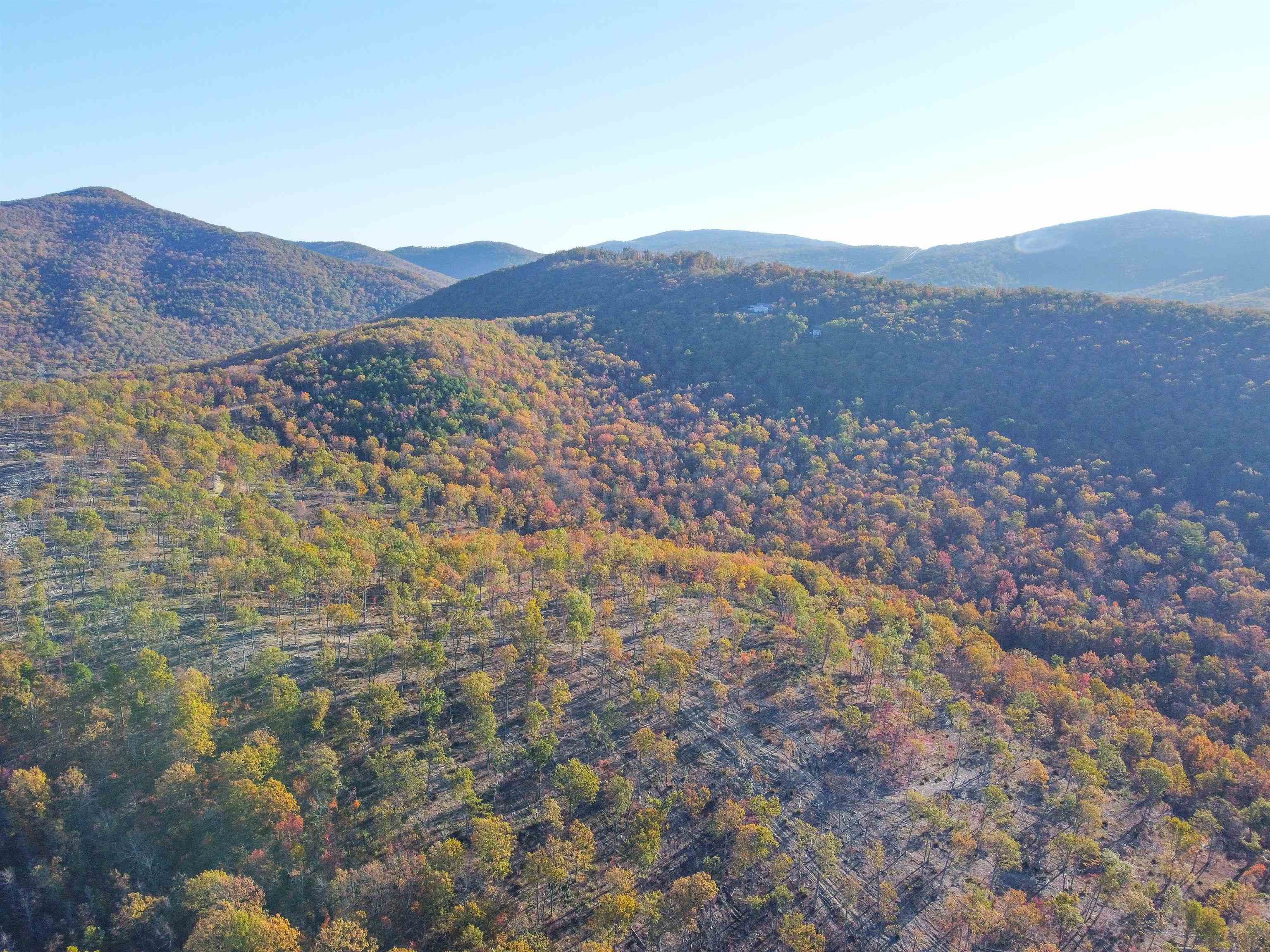 Tbd1 Calf Mountain Road Waynesboro, VA 22980 - Photo 20 of 39 a view of a dry yard with mountains in the background