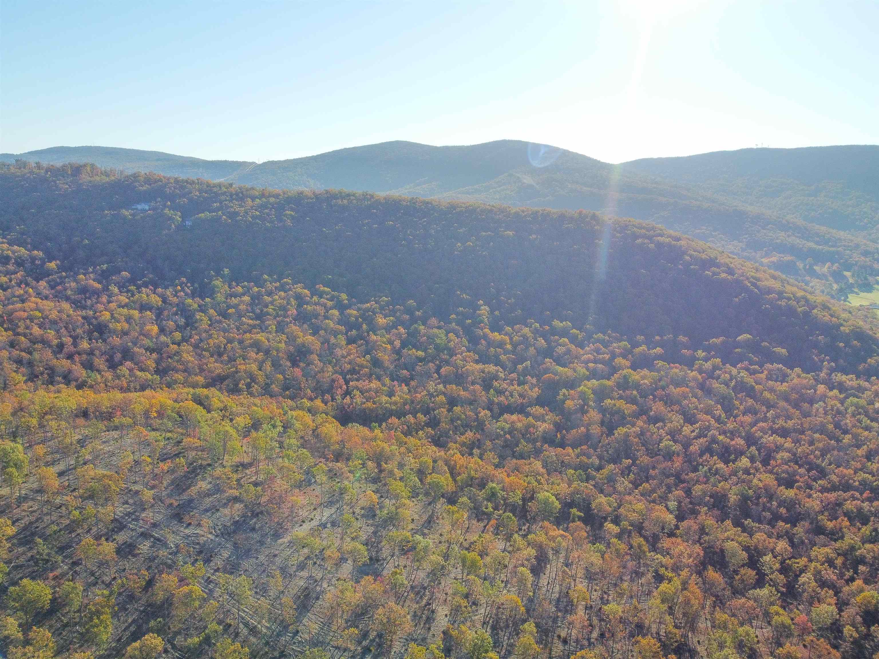 Tbd1 Calf Mountain Road Waynesboro, VA 22980 - Photo 21 of 39 a view of a dry yard with mountains in the background