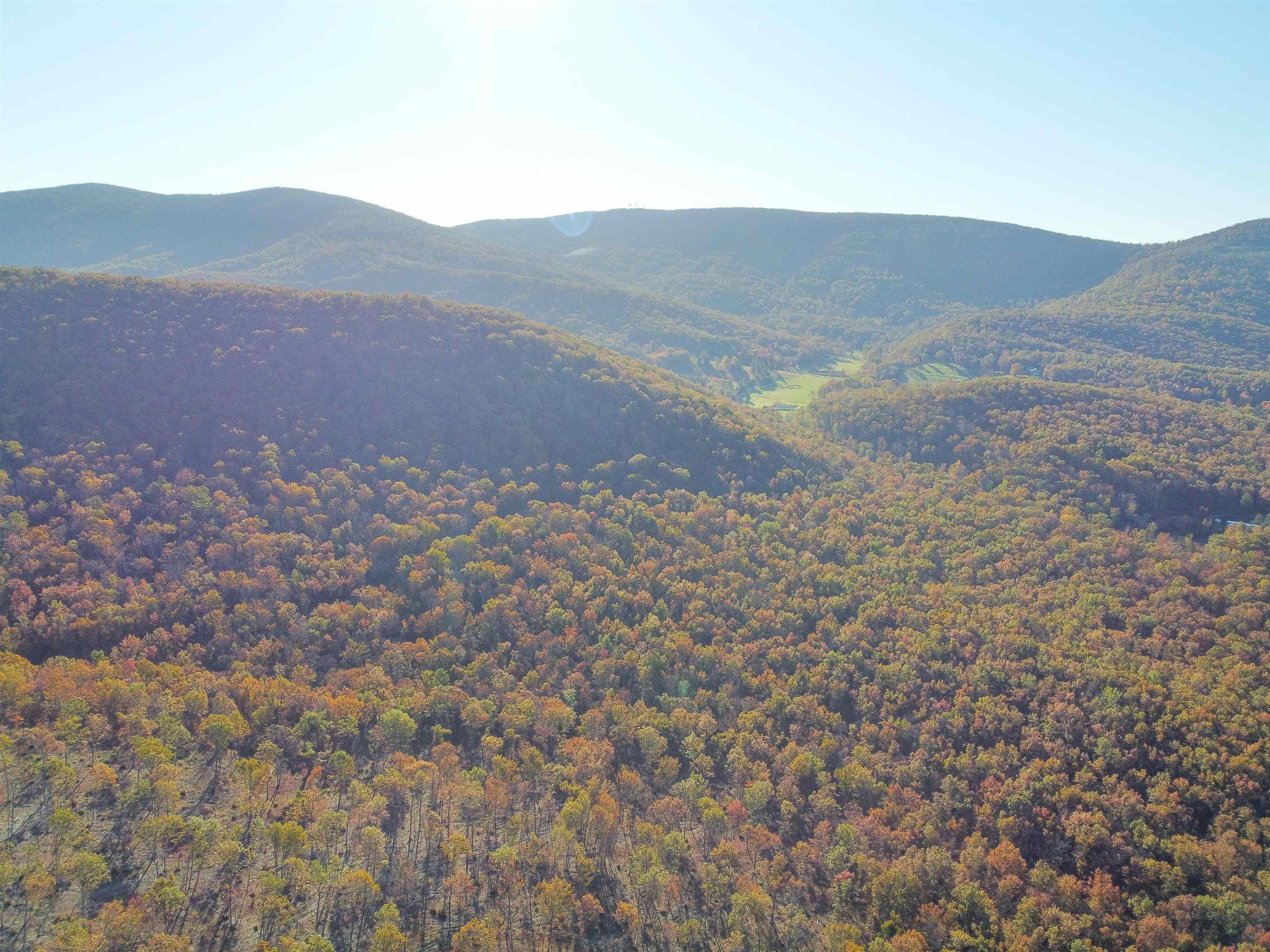 Tbd1 Calf Mountain Road Waynesboro, VA 22980 - Photo 22 of 39 a view of a dry yard with mountains in the background