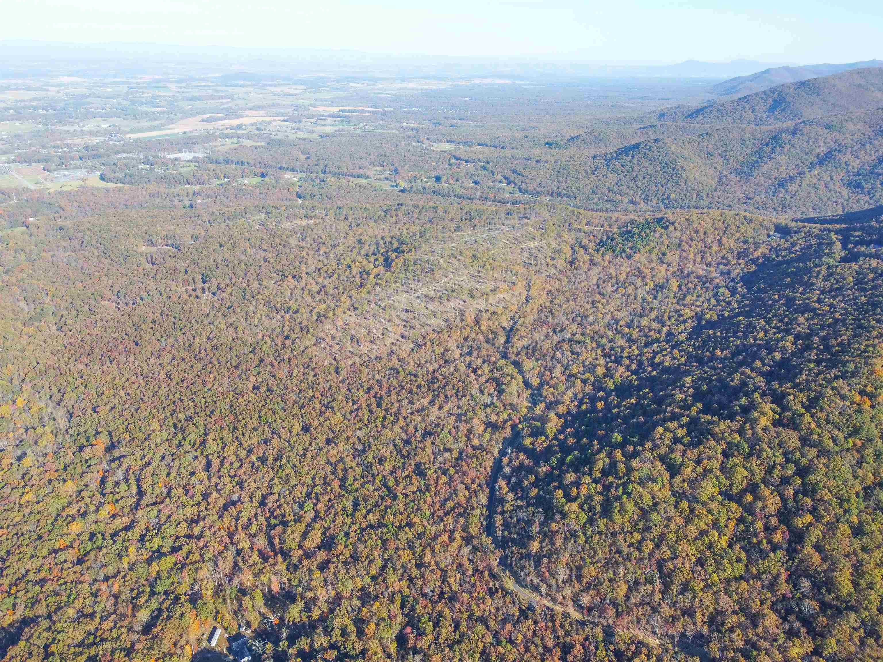 Tbd1 Calf Mountain Road Waynesboro, VA 22980 - Photo 39 of 39 a view of sky view