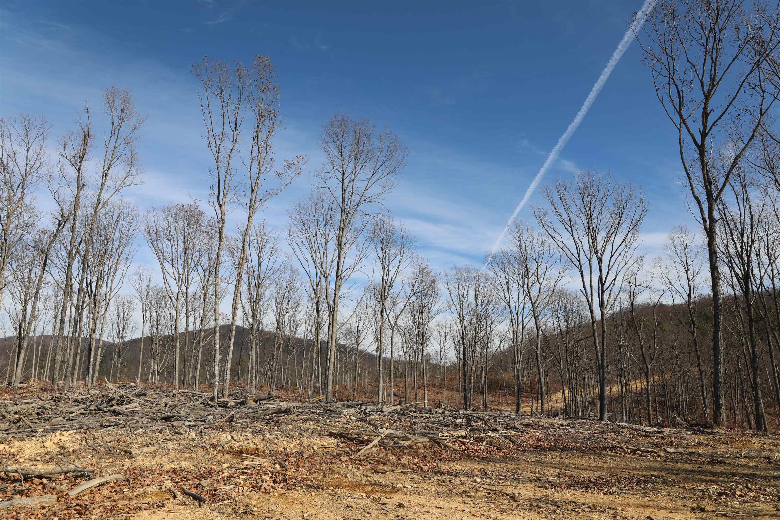 Tbd1 Calf Mountain Road Waynesboro, VA 22980 - Photo 8 of 39 a view of a backyard of the house