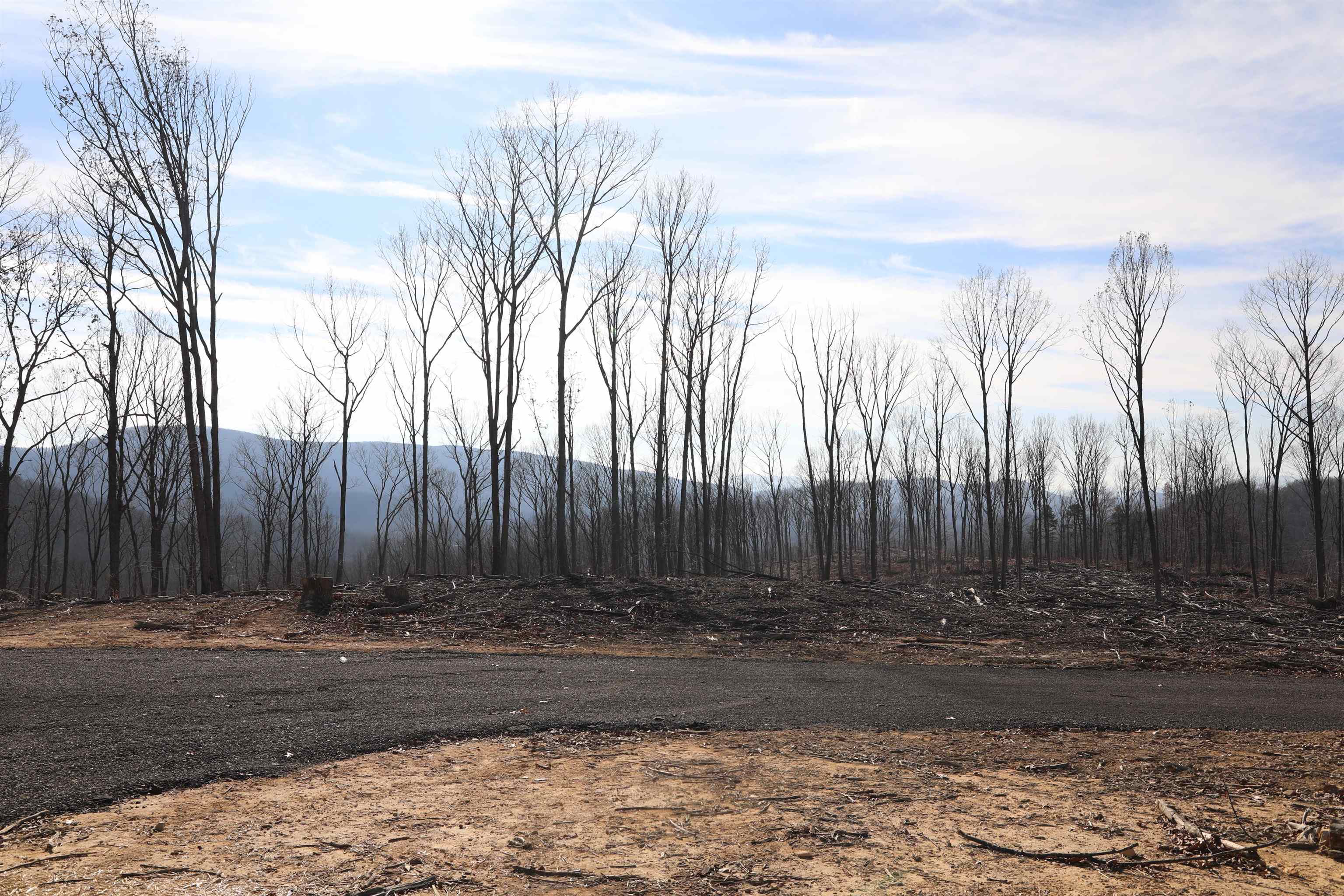 Tbd1 Calf Mountain Road Waynesboro, VA 22980 - Photo 9 of 39 a view of outdoor space with wooden fence
