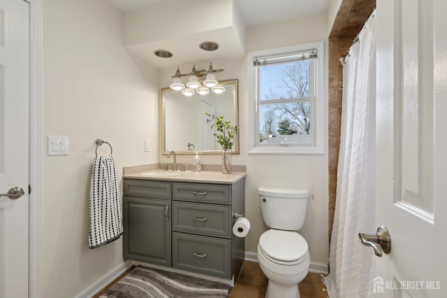 53 Salem Street Edison, NJ 08820 - Photo 26 of 39 a bathroom with a toilet a sink and a large mirror
