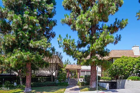 a view of a city with flower plants