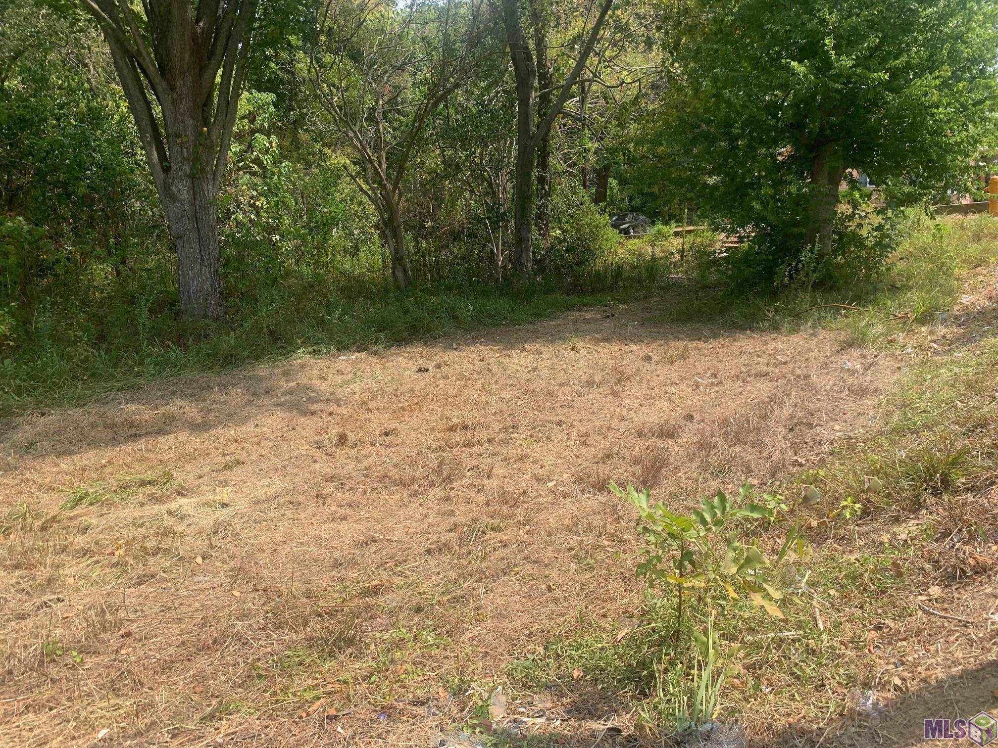 1978 Alabama Street Baton Rouge, LA 70802 - Photo 1 of 6 Build a single family home or duplex.