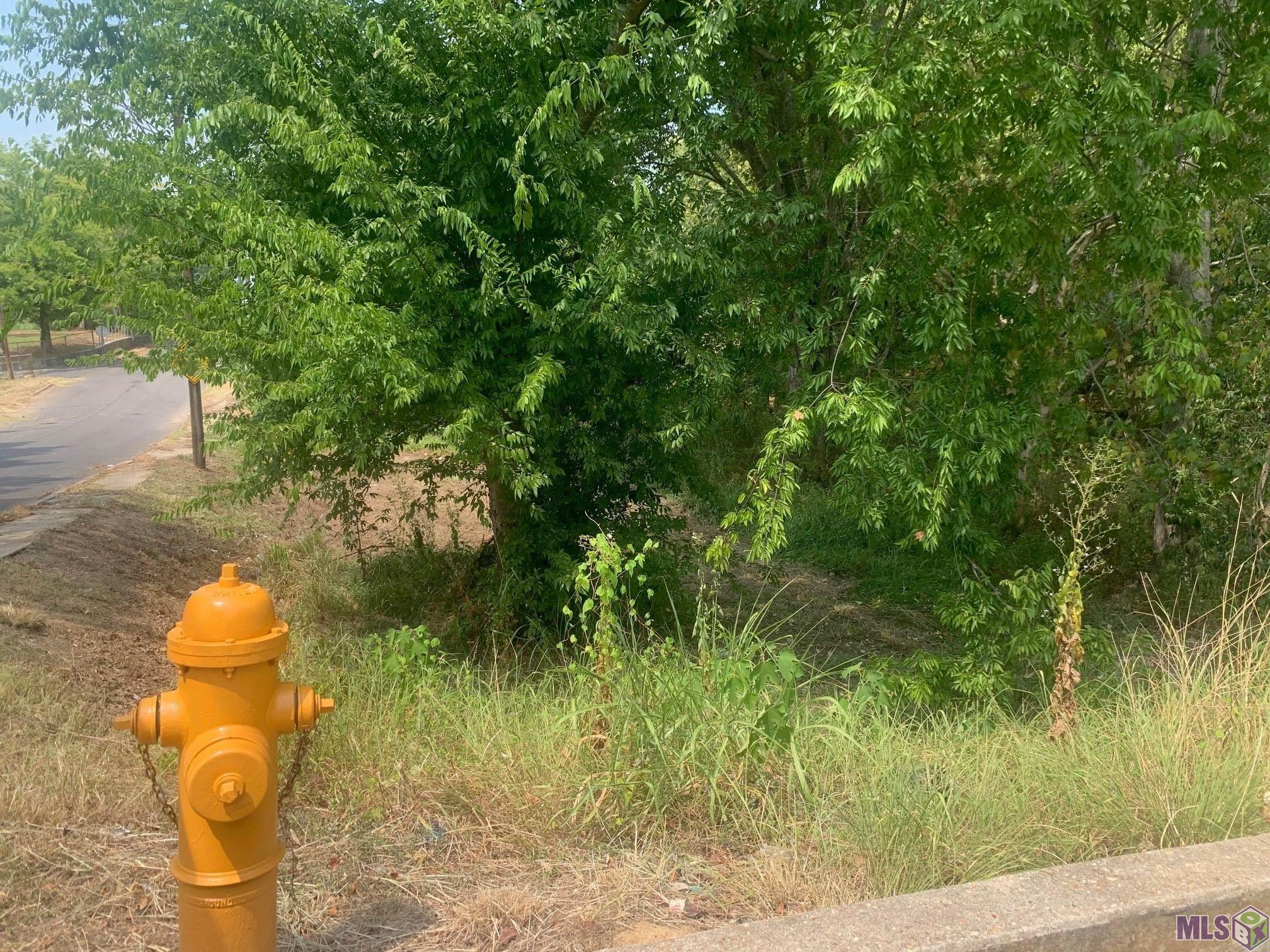1978 Alabama Street Baton Rouge, LA 70802 - Photo 6 of 6 Great Corner Lot
