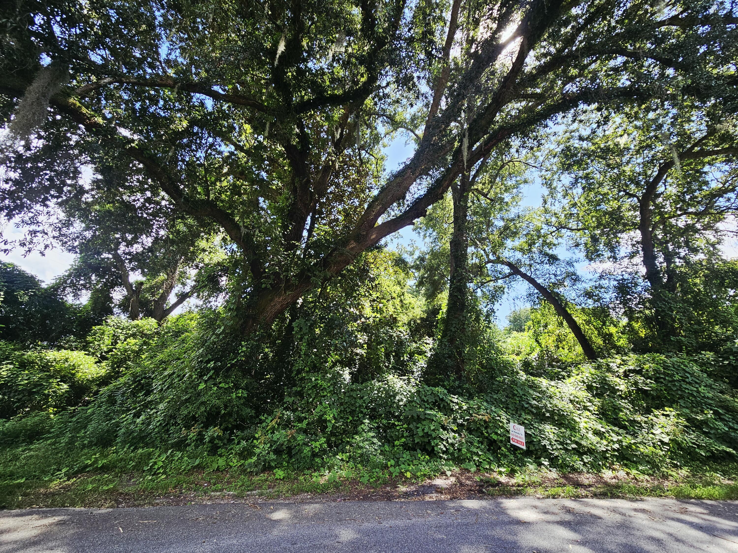 308 Chaplin Street Walterboro, SC 29488 - Photo 4 of 6 20250813_154710