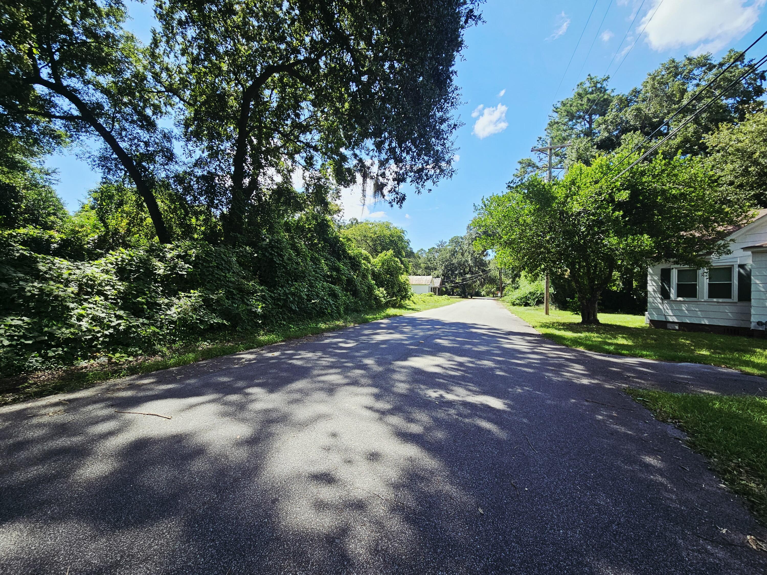 308 Chaplin Street Walterboro, SC 29488 - Photo 5 of 6 20250813_154548