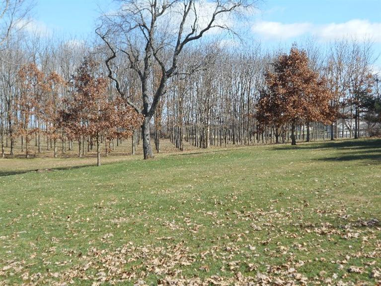 2098 Venable Road Winchester, KY 40391 - Photo 36 of 38 Photo 36