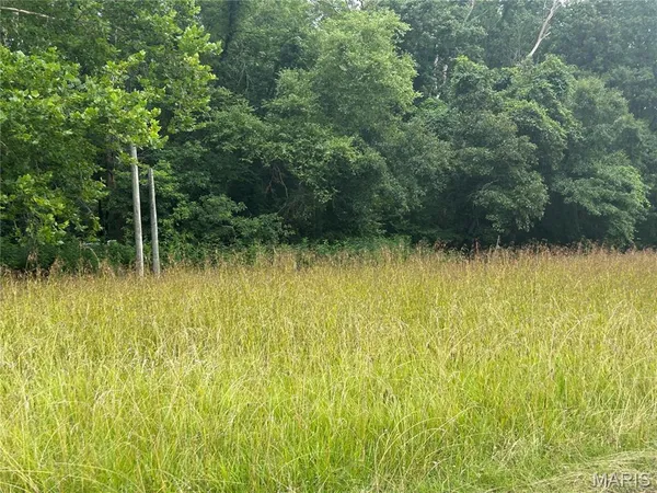 $159,000 | 0 Lusk Road, Herod, IL 62947