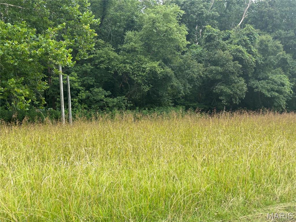 0 Lusk Road Herod, IL 62947 - Photo 2 of 6