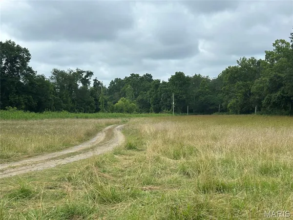 $159,000 | 0 Lusk Road, Herod, IL 62947