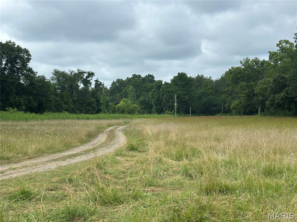 0 Lusk Road Herod, IL 62947 - Photo 4 of 6