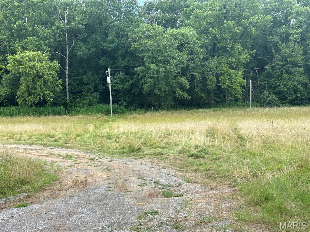 0 Lusk Road Herod, IL 62947 - Photo 5 of 6