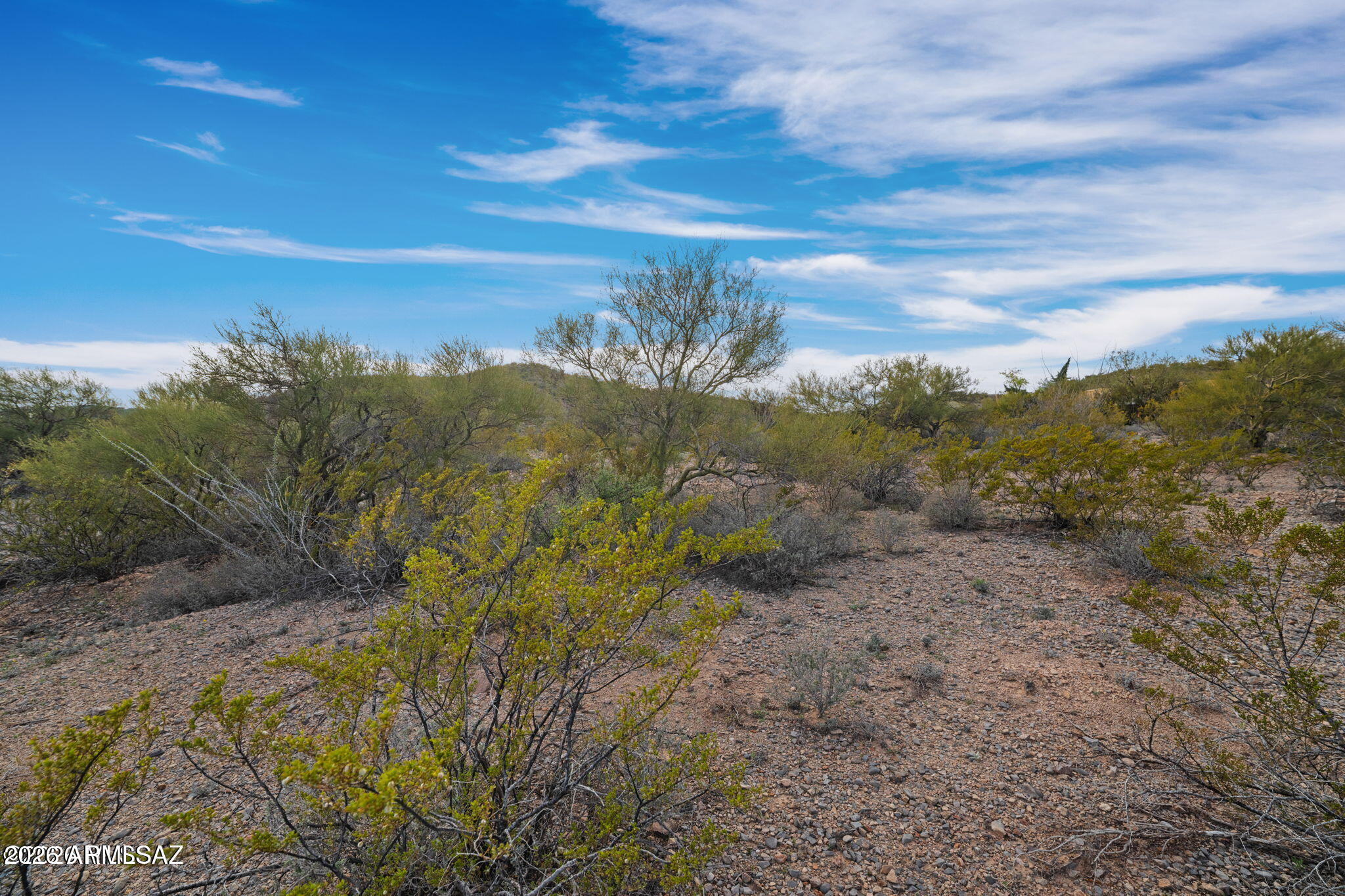 15612 East Colossal Cave Road Vail, AZ 85641 - Photo 11 of 12 a view of a yard with a tree