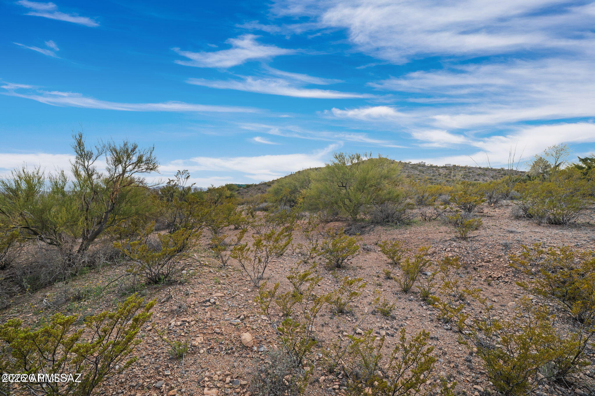 15612 East Colossal Cave Road Vail, AZ 85641 - Photo 12 of 12 a view of a yard with an ocean