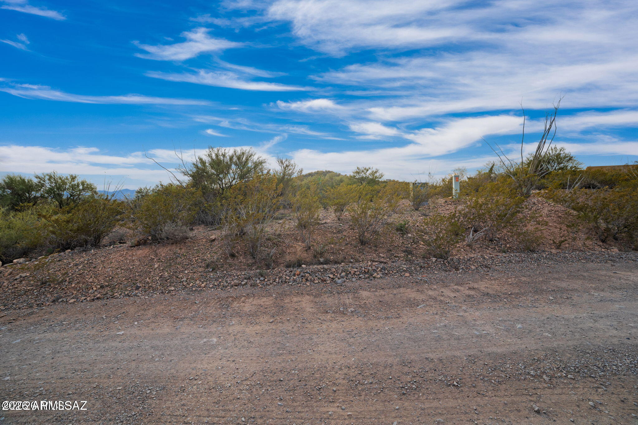 15612 East Colossal Cave Road Vail, AZ 85641 - Photo 8 of 12 a view of a dry yard