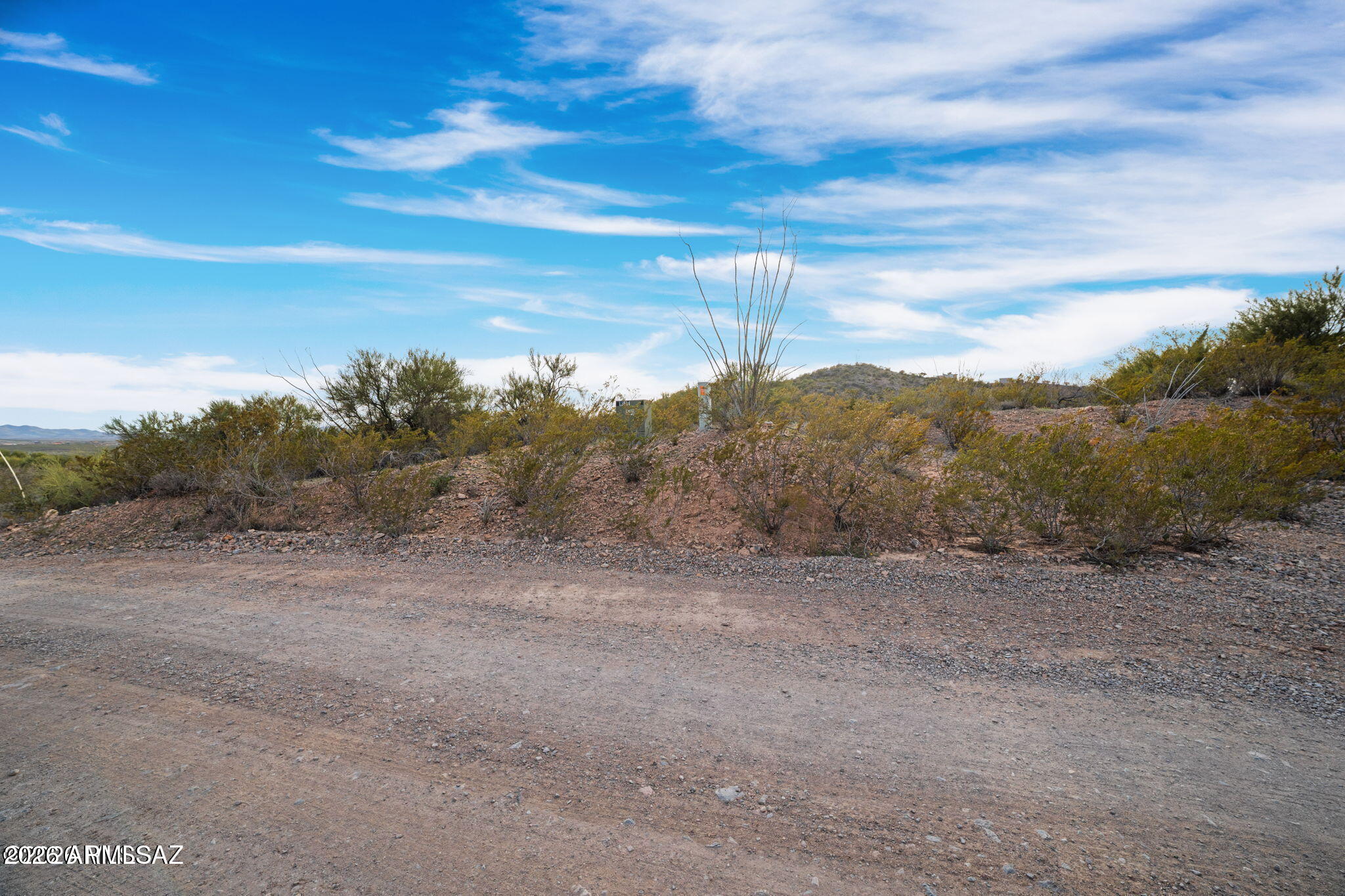 15612 East Colossal Cave Road Vail, AZ 85641 - Photo 9 of 12 a view of a dry yard with lots of trees