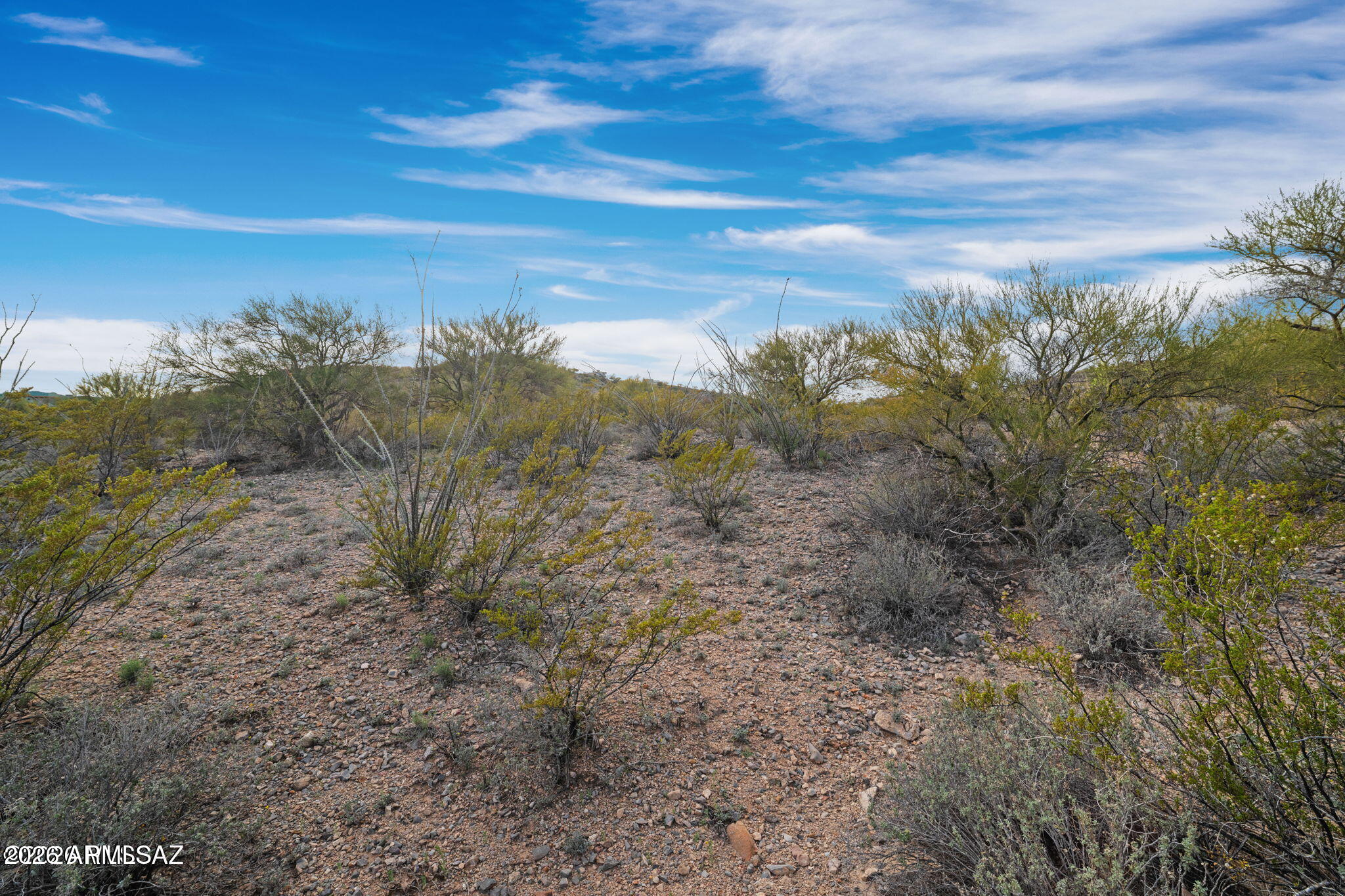 15612 East Colossal Cave Road Vail, AZ 85641 - Photo 10 of 12 a view of a large yard with lots of green space