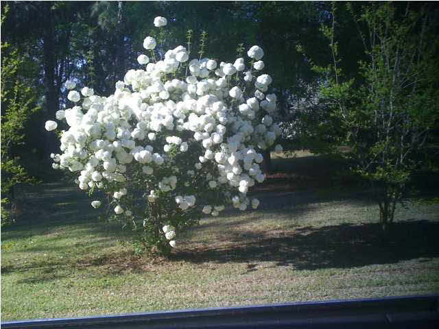 194 Kemp Road Magee, MS 39111 - Photo 26 of 39 Photo 26