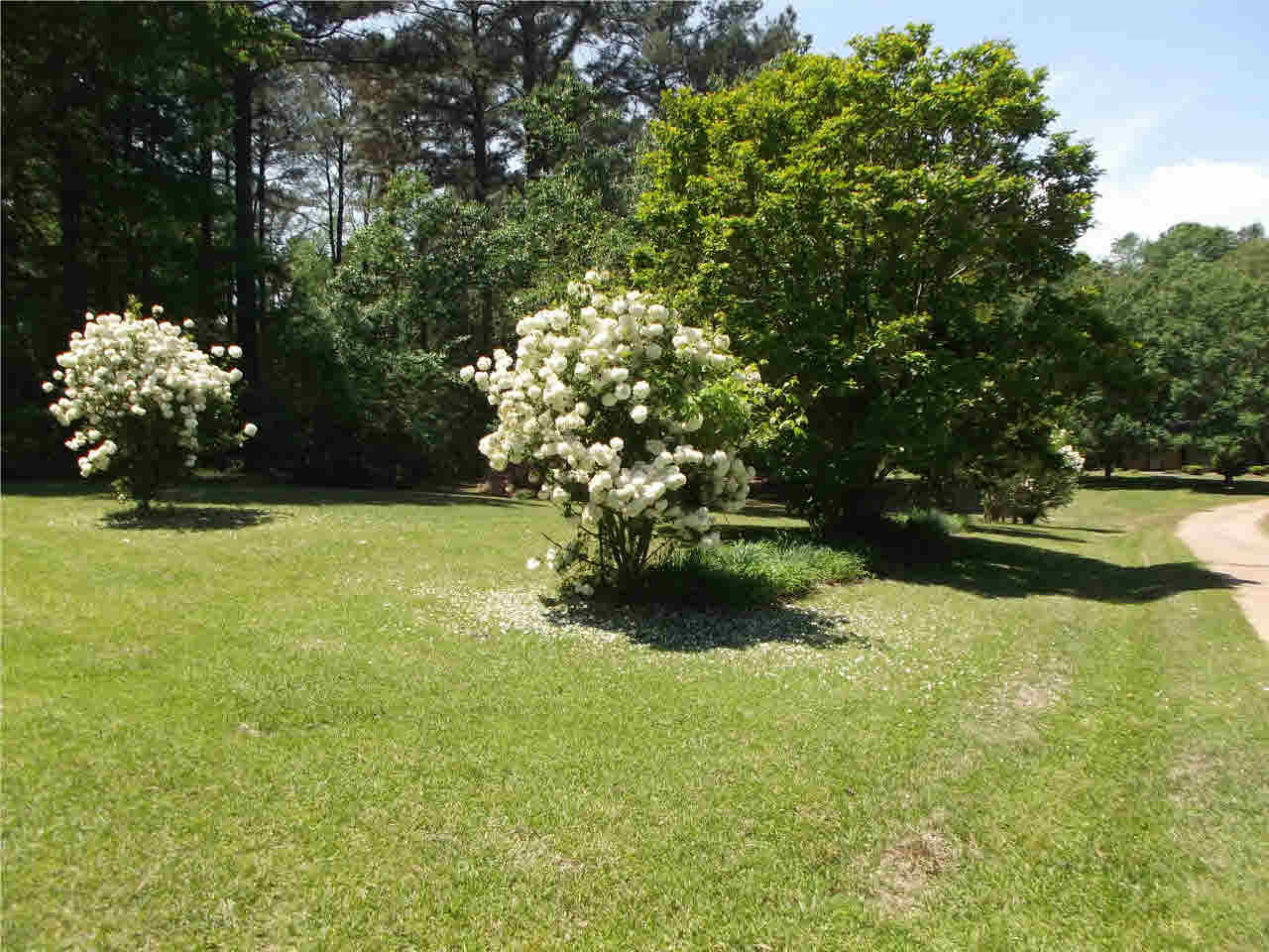 194 Kemp Road Magee, MS 39111 - Photo 29 of 39 Photo 29
