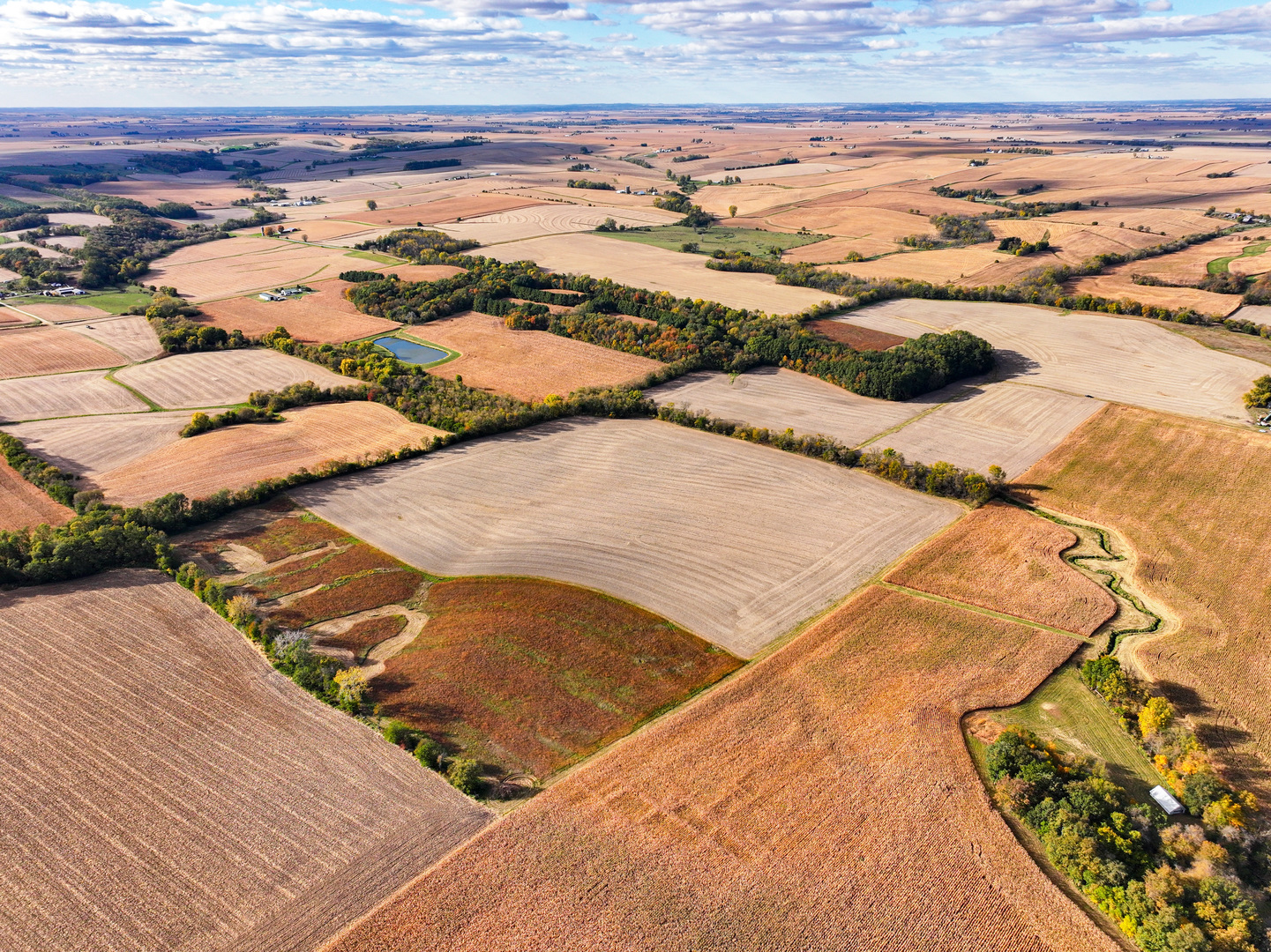 0 West West Grove Road Forreston, IL 61030 - Photo 8 of 23 a view of ocean view