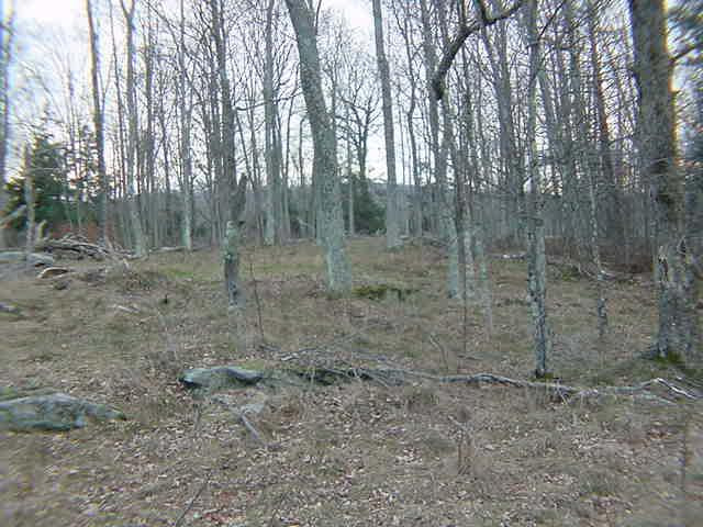 1 Butternut Ridge Sterling, PA 18463 - Photo 2 of 5