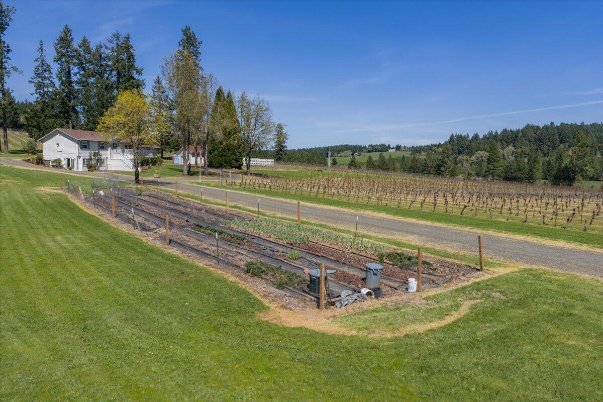 25357 High Pass Road Junction City, OR 97448 - Photo 8 of 43 07-MIT-24