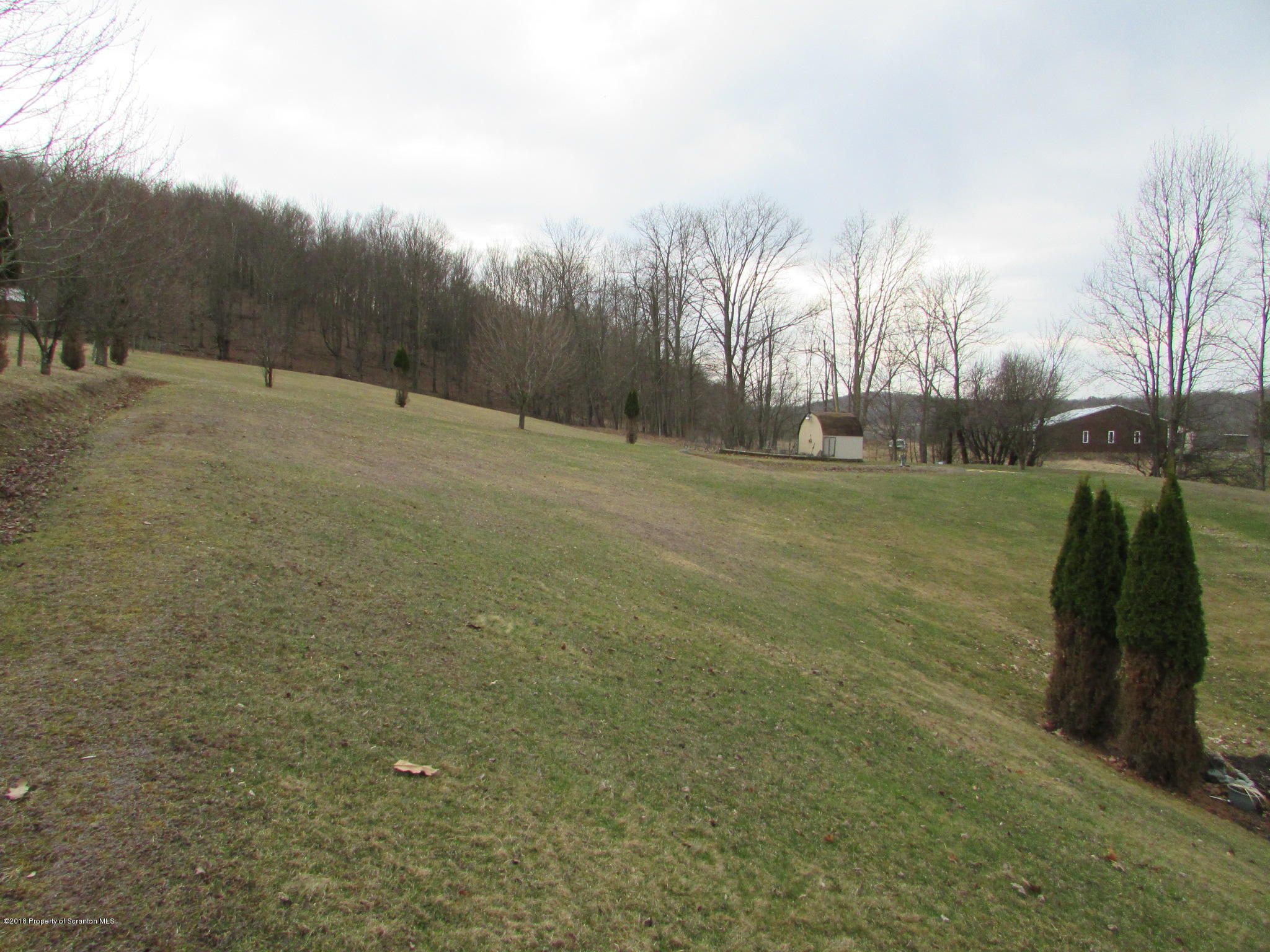 8840 State Rte 3001 Meshoppen, PA 18630 - Photo 53 of 64 a view of a field with trees in the background