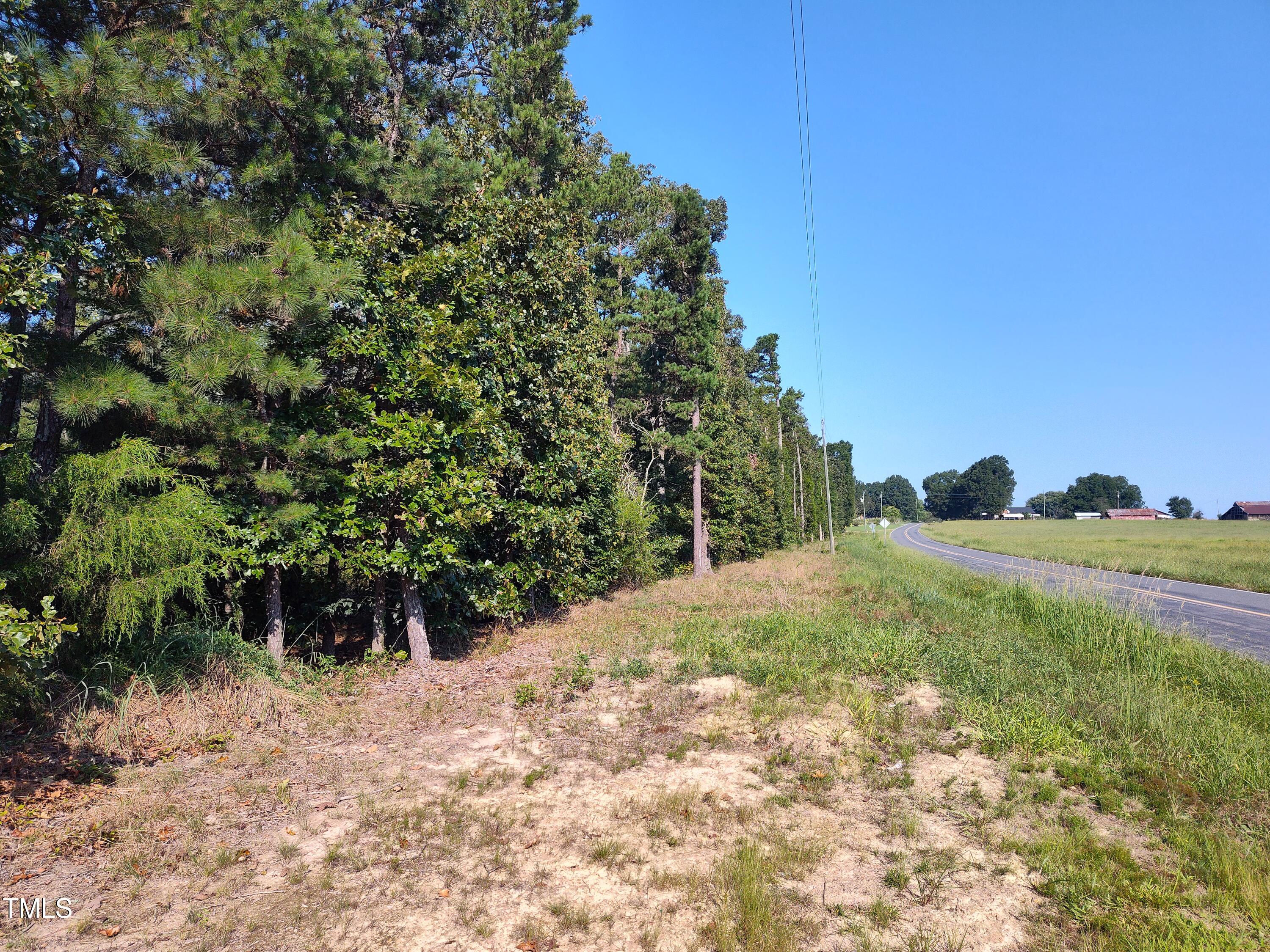 0 Devils Tramping Ground Road Bear Creek, NC 27207 - Photo 5 of 6 IMG_20240830_100234830_HDR