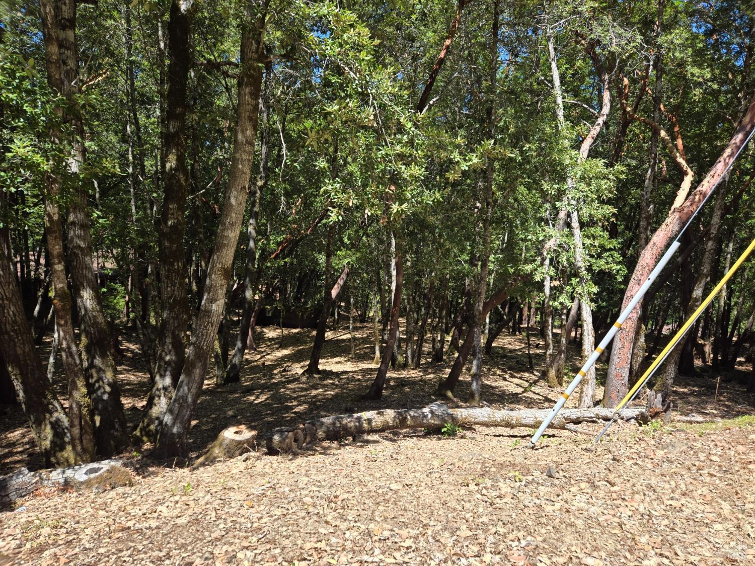 1686 Ponderosa Road Willits, CA 95490 - Photo 2 of 6 a view of outdoor space yard and slide