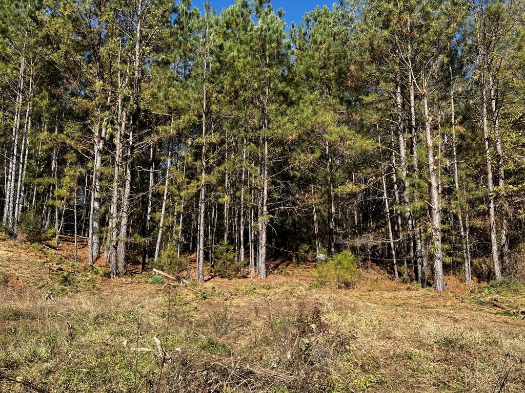 1001 Beltline Road Union, SC 29379 - Photo 2 of 8