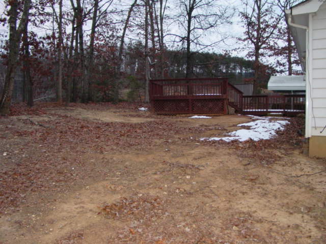 74 Arthur Road Roanoke, VA 24019 - Photo 3 of 11 a view of a yard with large tree