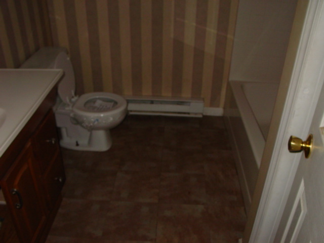 74 Arthur Road Roanoke, VA 24019 - Photo 9 of 11 a view of bathroom